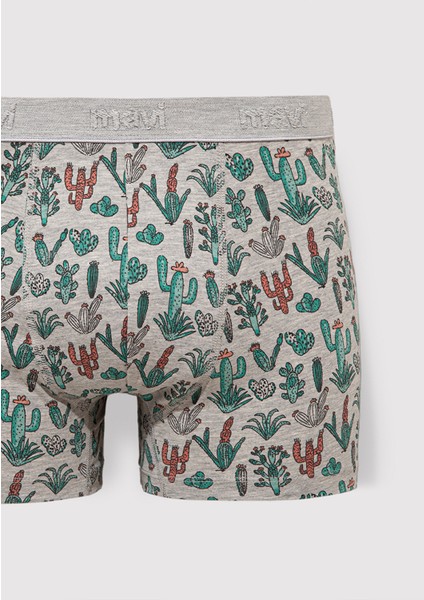 3lü Kaktüs Baskılı Gri Boxer 0912212-23854 fiyatları