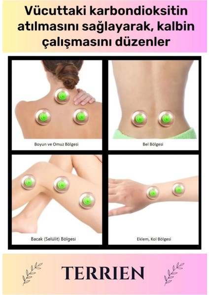 Çatlak Vakumlu Selülit Yağ Çatlak Giderici 6 Numara Hacamat Kupası 10 Adet modelleri