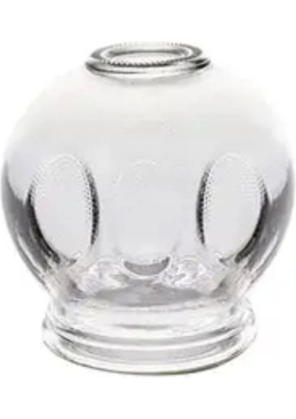 2 No Cam Hacamat Kupası - Lisinya