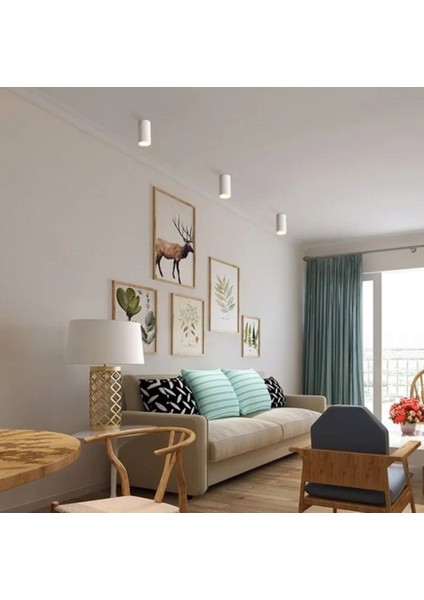 Foça ( Beyaz-Platin) CT-5421 Sp fiyatları