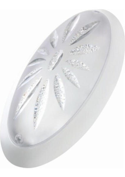 Tavan - Duvar Armatür Aplik Aydınlatma Tr