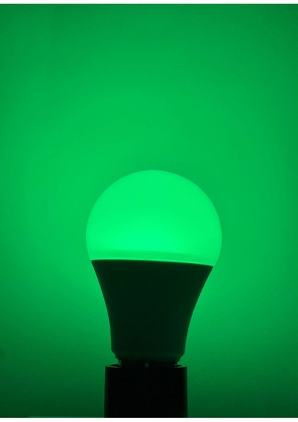 10 Watt Yeşil Işık 765 Lümen 220 Volt LED Ampul Tekli Cool White E27 LED Ampul 10 Watt Yok