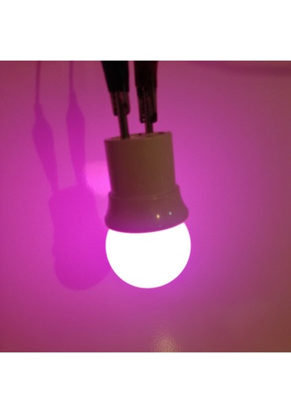 Gece Lambası Ampülü Pembe 1W LED E27 Duy Tekli Cool White E27 LED Ampul 1 Watt Yok A'dan G'ye F Cn modelleri