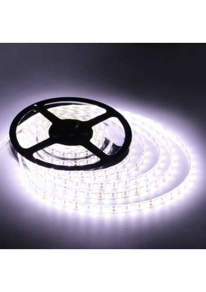 On Çip 40*40 Şerit LED - Beyaz Işık (6500K) - 12 V - Iç Mekan - 5 Metre - CT-4480 Cn