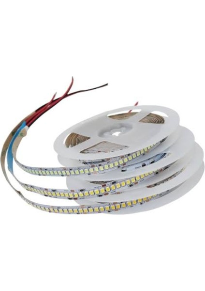 Metrede 240 LED 12VOLT 18WATT Beyaz Işık 5metre IP20 Iç Mekan Smd Şerit LED Tekli Beyaz Işık B22 LED modelleri