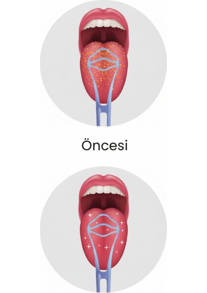 Dil Temizleyici | Ekonomik | Ergonomik Tasarım | Kolay indirimleri