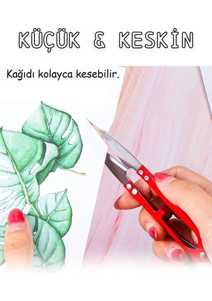 Ip Kesme Makası Ilik Açma Aleti Paslanmaz Çelik Dikiş Sökme Kesme Makası Balıkçı Kamp Malzemeleri Ke modelleri