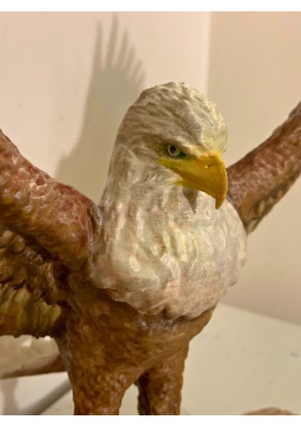 Kartal fırsatları
