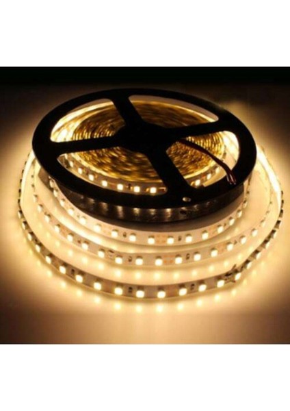 Şerit LED 10 Çipli Gün Işığı 5mt CT-4481