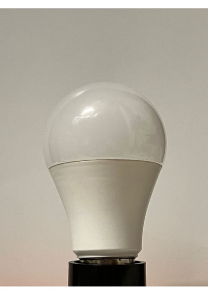 13 Watt 1050 Lümen Yüksek Işık 3000K Günışığı A60 E27 LED Ampul Tekli Gün Işığı E27 LED Ampul 13 Wat fiyatları