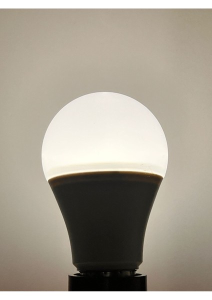 13 Watt 1050 Lümen Yüksek Işık 3000K Günışığı A60 E27 LED Ampul Tekli Gün Işığı E27 LED Ampul 13 Wat modelleri