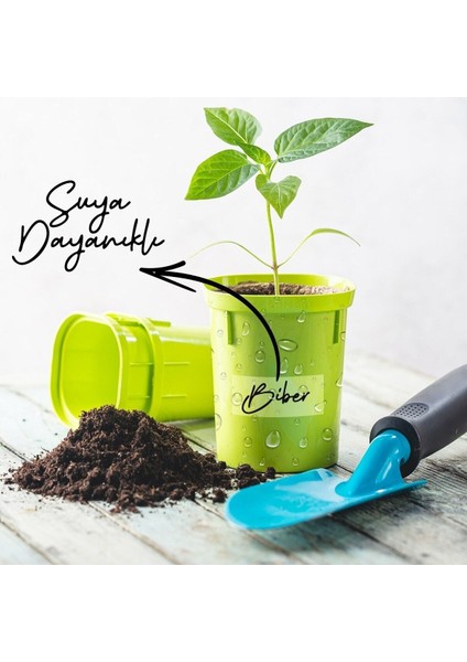 Suya Dayanıklı Şeffaf Etiket Yazılabilir Baharatlık Saksı Için 30 Adet Hızlı Yapıştırıcı fırsatları