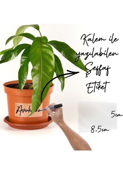 Suya Dayanıklı Şeffaf Etiket Yazılabilir Baharatlık Saksı Için 30 Adet Hızlı Yapıştırıcı indirimleri