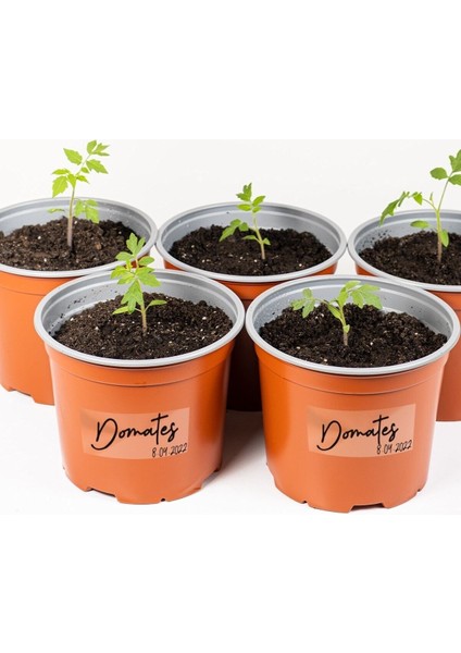 Suya Dayanıklı Şeffaf Etiket Yazılabilir Baharatlık Saksı Için 30 Adet Hızlı Yapıştırıcı