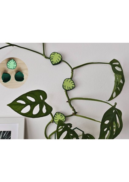 Monstera Yaprak Duvar Klipsleri (Özelleştirilebilir Tasarım)