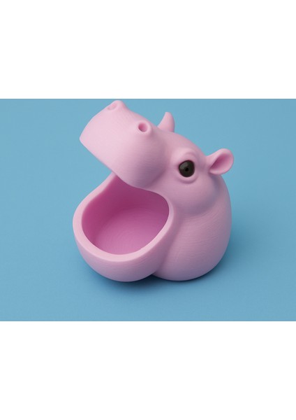 Hippo Key Keeper!