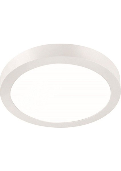 LED Tavan Glop Banyo-Balkon-Tuvalet (Wc) Aydınlatması Lamba Armatür Tavan Aplik 6500K Beyaz fırsatları