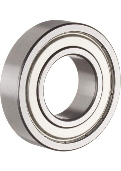 6005 Zz Rulman 25X47X12 Çelik