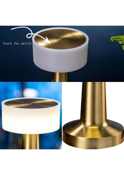 Dekoratif LED Masa Lambası- USB Şarjlı modelleri