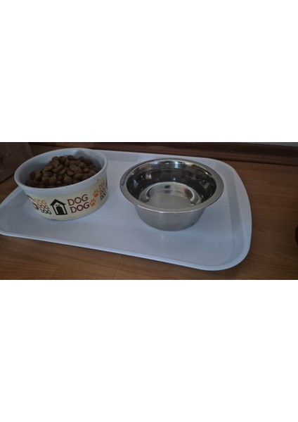 Köpek Için Kase fiyatları
