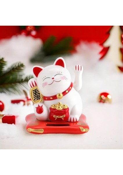 Şanslı Kedi fiyatları