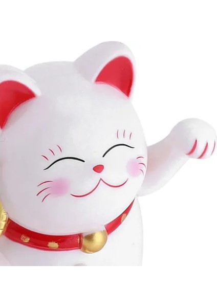 Şanslı Kedi fırsatları