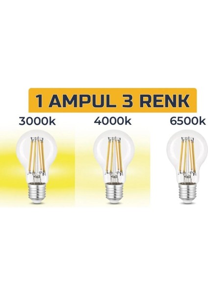 3 Renkli LED Filament Rustik Ampul 6W E27 A60 Tekli Cool White E27 LED Ampul 6 Watt Yok Cn modelleri
