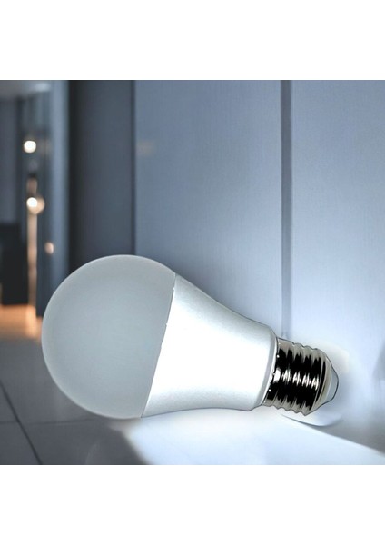 9 Wat Smart Akıllı Ampul 3 Renk Kademeli Tekli Cool White E27 Akıllı Ampul 9 Watt Yok A'dan G'ye A fiyatları
