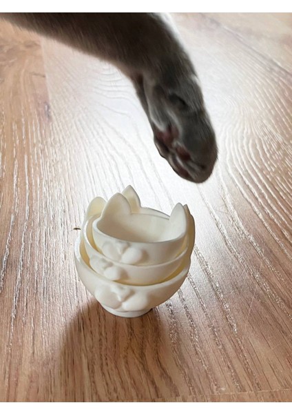 Cat Bowl Sevimli Hediye fırsatları