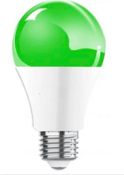 Renkli LED Ampul Yesil 6W Tekli Beyaz Işık E27 LED Ampul 6 Watt Yok