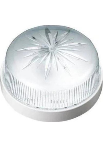 Duvar Armatürü Papatya Ceviz Cn