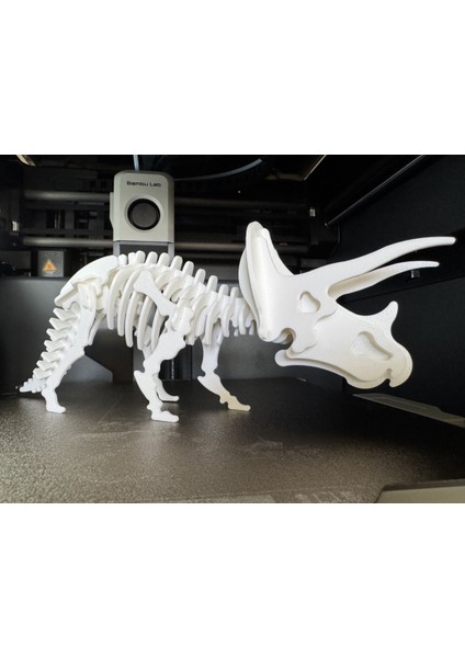 Triceratops Dinozor Iskelet Bulmaca
