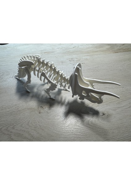 Triceratops Dinozor Iskelet Bulmaca modelleri