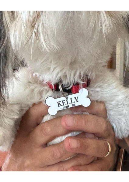 Köpek Kemik Tag (Özelleştirilebilir) (Özelleştirilebilir Tasarım) fiyatları