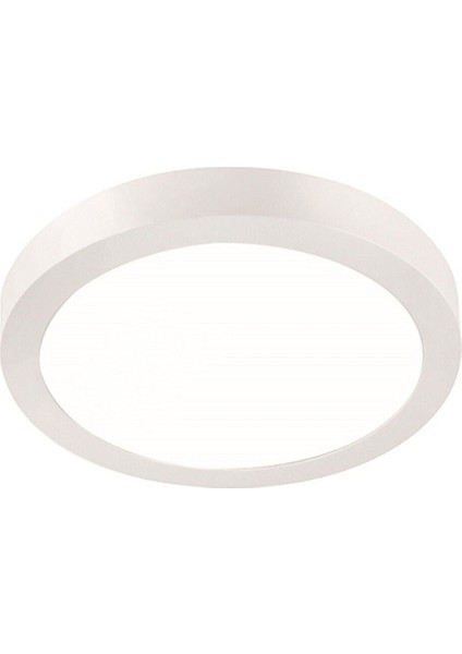 LED Banyo Balkon Wc Aydınlatma Armatürü 6500K Beyaz