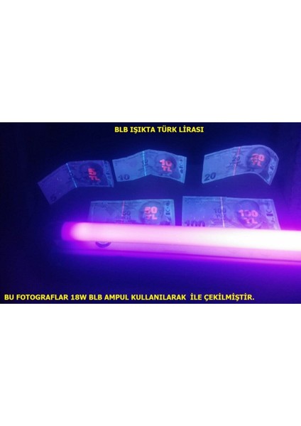 Blb 8W T5 Floresan Ampul Mavi Işık B22 Floresan Ampul 8 Watt Turuncu