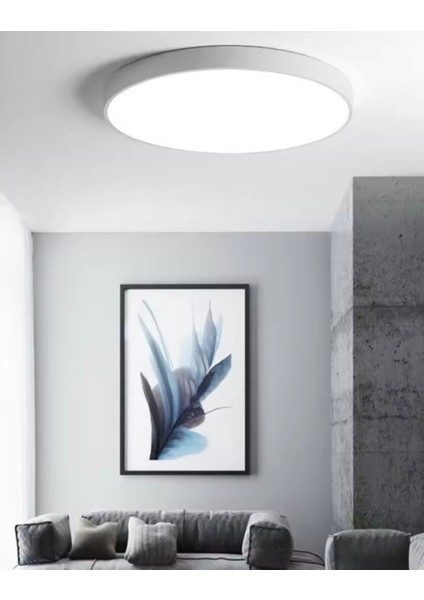 Ledli Tavan Lambası Tuvalet Banyo Balkon Koridor Aydınlatma Avize Aplik 6500K Beyaz Işık 25CM Çap fırsatları