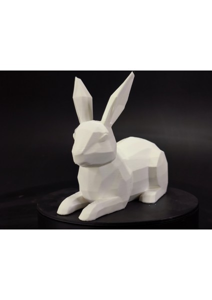 Düşük Poli Paskalya Tavşanı x / Evet Bunny Koleksiyonu x
