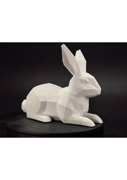 Düşük Poli Paskalya Tavşanı x / Evet Bunny Koleksiyonu x fırsatları