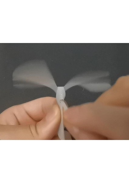 Ginkgo Yapraklar Kuş