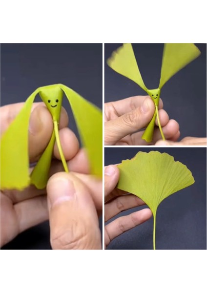Ginkgo Yapraklar Kuş fiyatları