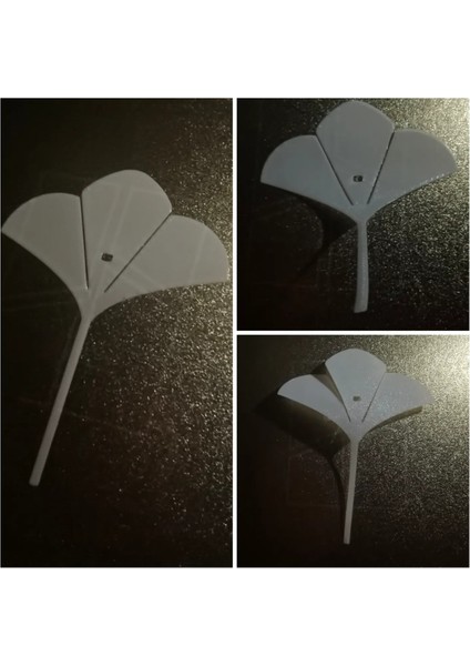 Ginkgo Yapraklar Kuş modelleri