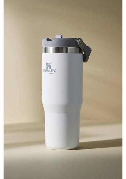 The Iceflow Flip Straw Pipetli Termos Bardak 0.89 fiyatları