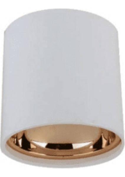 Sıva Üstü Dekoratif Armatür CT-5421 Beyaz-Rose