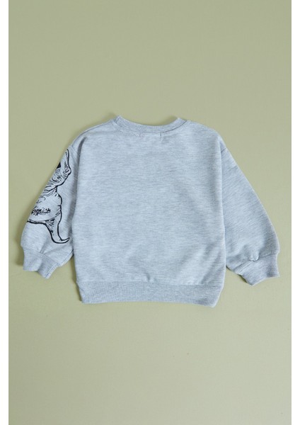 Dinozor Baskılı Erkek Çocuk Sweatshirt Takım modelleri