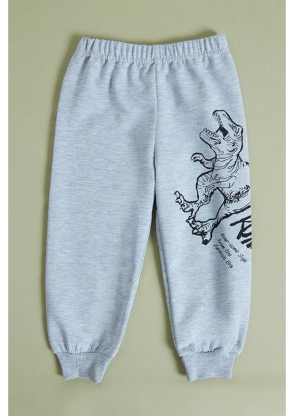 Dinozor Baskılı Erkek Çocuk Sweatshirt Takım fırsatları