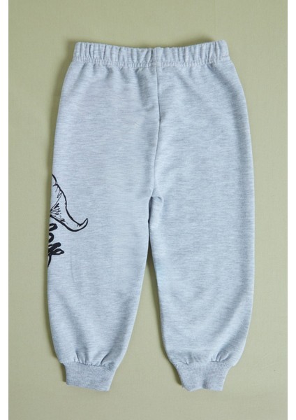 Dinozor Baskılı Erkek Çocuk Sweatshirt Takım indirimleri