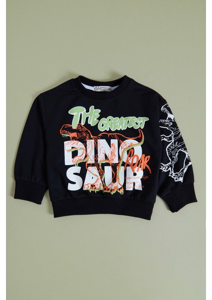 Dinozor Baskılı Erkek Çocuk Sweatshirt Takım fiyatları