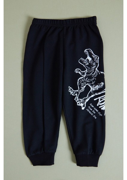 Dinozor Baskılı Erkek Çocuk Sweatshirt Takım fırsatları