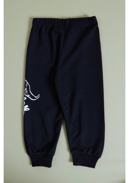 Dinozor Baskılı Erkek Çocuk Sweatshirt Takım indirimleri